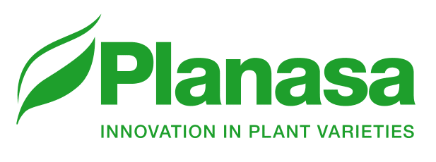 Planasa