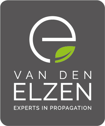 Van den Elzen