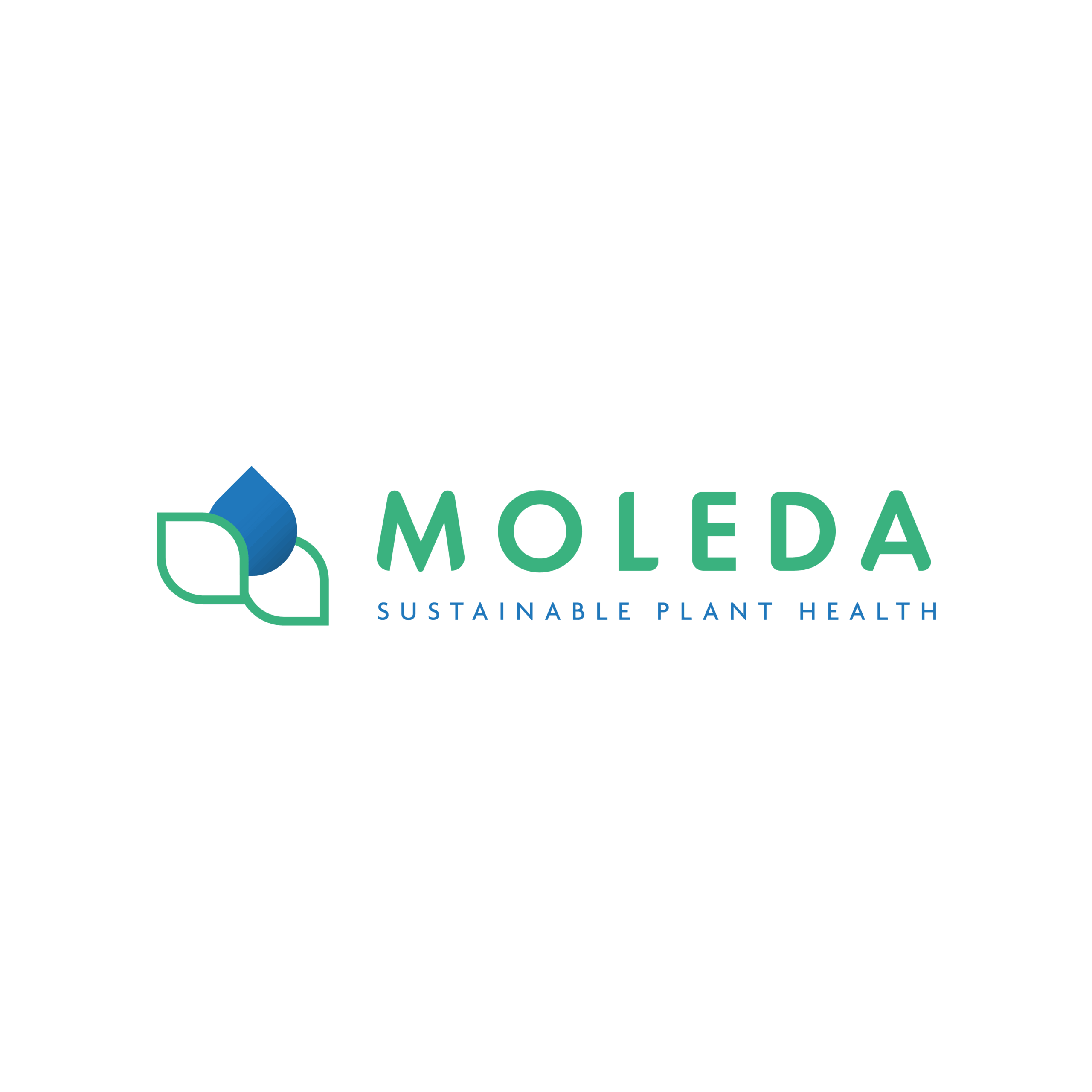 Moleda